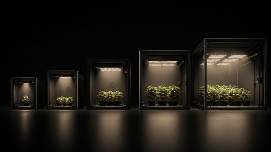 Como escolher o LED ideal para cultivo indoor - Starlight Grow