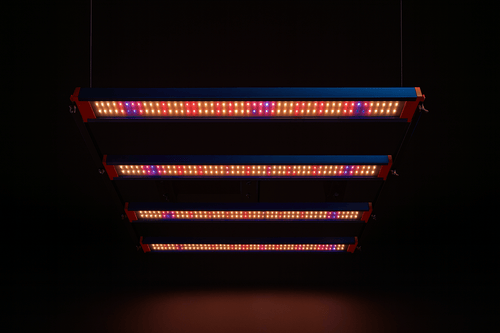 Quantum Bar LM301H EVO 240W - Starlight Grow