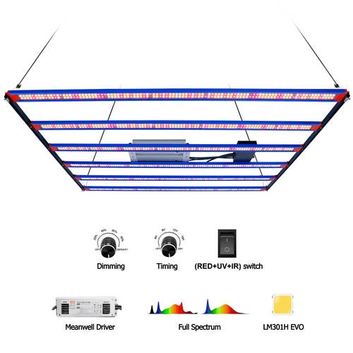 Quantum Bar LM301H EVO 650W - Starlight Grow