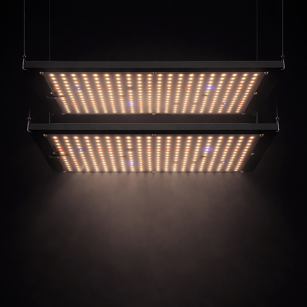Quantum Board LM301H para cultivo indoor - Starlight Grow